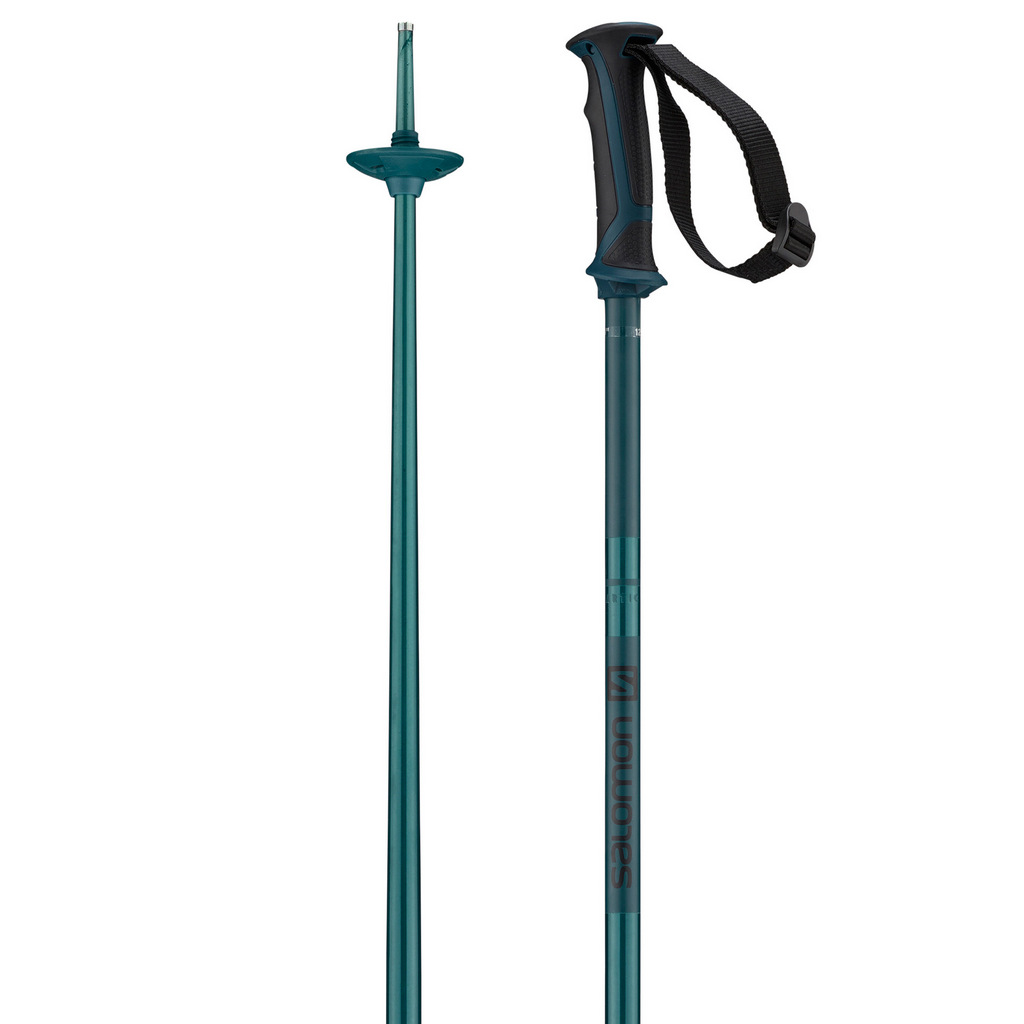 Salomon arctic sale ski pole